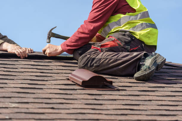 Best Best Roofing Contractors  in Trion, GA