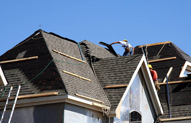Best New Roof Installation  in Trion, GA