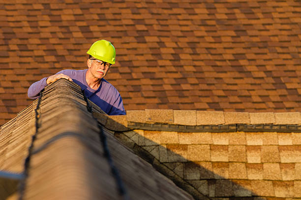 Best Shingle Roofing Installation  in Trion, GA